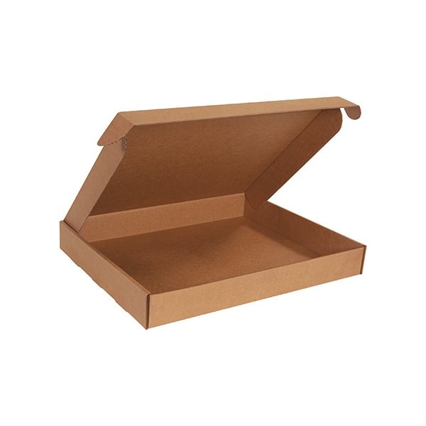 Bsc Preferred 22 x 18 x 2-3/4'' Kraft Deluxe Literature Mailers, 25PK BUY00013437 - main